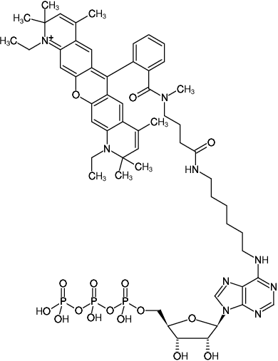 Structural formula of N6-(6-Aminohexyl)-ATP-ATTO-Rho13 (N6-(6-Aminohexyl)-adenosine-5'-triphosphate, labeled with ATTO Rho13, Triethylammonium salt)