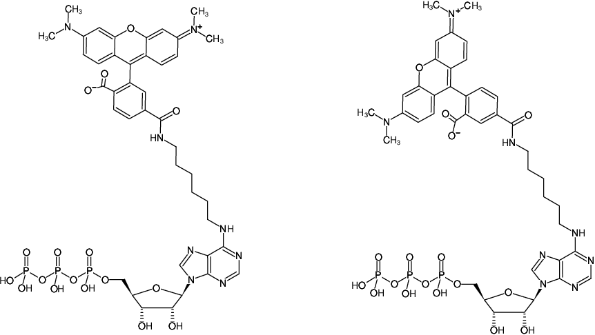 Structural formula of N6-(6-Aminohexyl)-ATP-5/6-TAMRA (N6-(6-Aminohexyl)-adenosine-5'-triphosphate, labeled with 5/6-TAMRA, Triethylammonium salt)