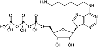 Structural formula of N6-(6-Aminohexyl)-ATP (N6-(6-Aminohexyl)-adenosine-5'-triphosphate, Sodium salt)