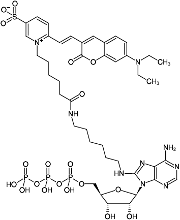 Structural formula of 8-(6-Aminohexyl)-amino-ATP-DY-480XL (8-(6-Aminohexyl)-amino-adenosine-5'-triphosphate, labeled with DY 480XL, Triethylammonium salt)