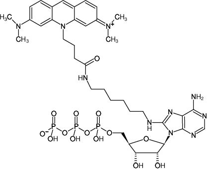 Structural formula of 8-(6-Aminohexyl)-amino-ATP-ATTO-495 (8-(6-Aminohexyl)-amino-adenosine-5'-triphosphate, labeled with ATTO 495, Triethylammonium salt)