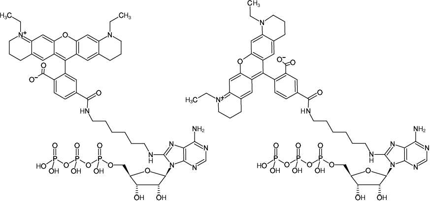 Structural formula of 8-(6-Aminohexyl)-amino-ATP-ATTO-565 (8-(6-Aminohexyl)-amino-adenosine-5'-triphosphate, labeled with ATTO 565, Triethylammonium salt)