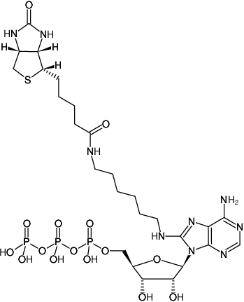 Structural formula of 8-(6-Aminohexyl)-amino-ATP-Biotin (8-(6-Aminohexyl)-amino-adenosine-5'-triphosphate-Biotin, Triethylammonium salt)