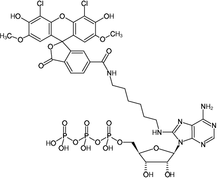 Structural formula of 8-(6-Aminohexyl)-amino-ATP-6-JOE (8-(6-Aminohexyl)-amino-adenosine-5'-triphosphate, labeled with 6-JOE, Triethylammonium salt)