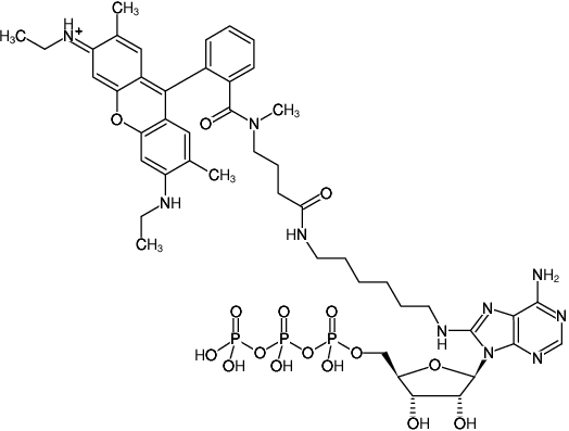 Structural formula of 8-(6-Aminohexyl)-amino-ATP-ATTO-Rho6G (8-(6-Aminohexyl)-amino-adenosine-5'-triphosphate, labeled with ATTO Rho6G, Triethylammonium salt)