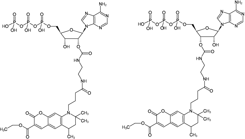 Structural formula of EDA-ATP-ATTO-425 (2'/3'-O-(2-Aminoethyl-carbamoyl)-Adenosine-5'-triphosphate, labeled with ATTO 425, Triethylammonium salt)