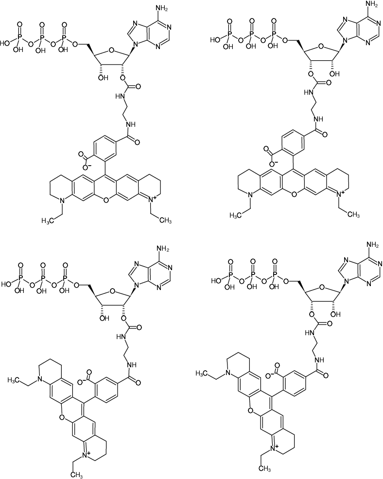 Structural formula of EDA-ATP-ATTO-565 (2'/3'-O-(2-Aminoethyl-carbamoyl)-Adenosine-5'-triphosphate, labeled with ATTO 565, Triethylammonium salt)