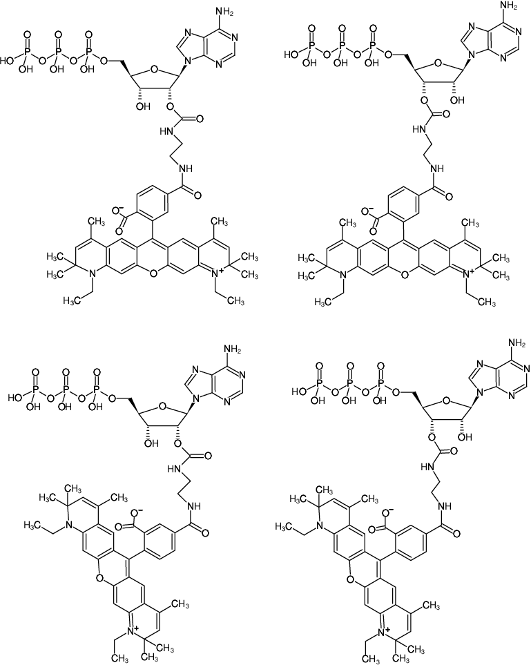 Structural formula of EDA-ATP-ATTO-590 (2'/3'-O-(2-Aminoethyl-carbamoyl)-Adenosine-5'-triphosphate, labeled with ATTO 590, Triethylammonium salt)