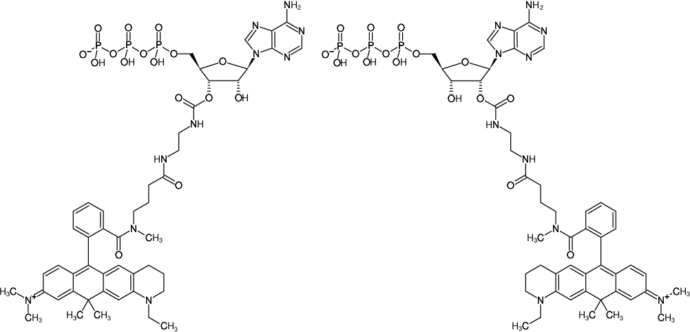 Structural formula of EDA-ATP-ATTO-633 (2'/3'-O-(2-Aminoethyl-carbamoyl)-Adenosine-5'-triphosphate, labeled with ATTO 633, Triethylammonium salt)