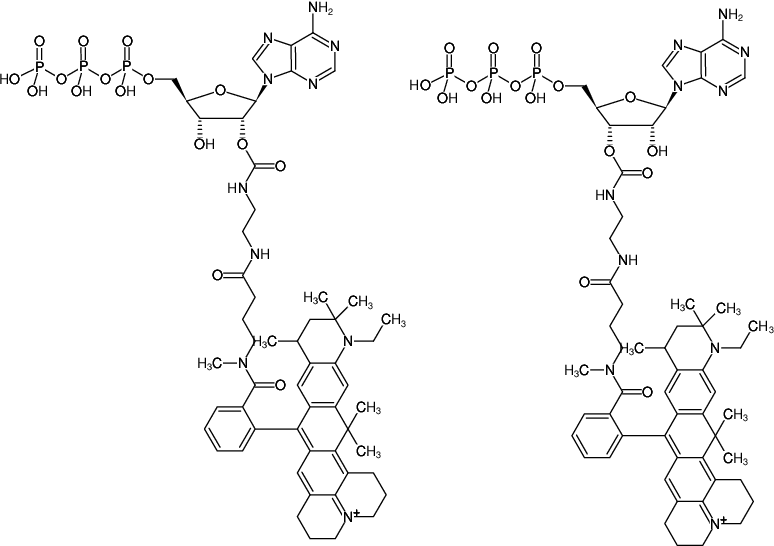 Structural formula of EDA-ATP-ATTO-647N (2'/3'-O-(2-Aminoethyl-carbamoyl)-adenosine-5'-triphosphate, labeled with ATTO 647N, Triethylammonium salt)