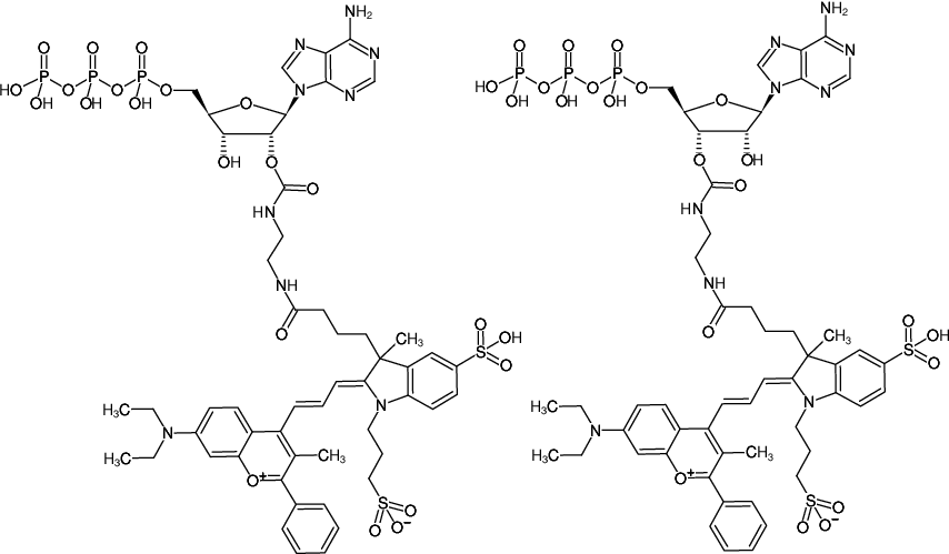 Structural formula of EDA-ATP-DYQ-661 (2'/3'-O-(2-Aminoethyl-carbamoyl)-Adenosine-5'-triphosphate, labeled with DYQ 661, Triethylammonium salt)