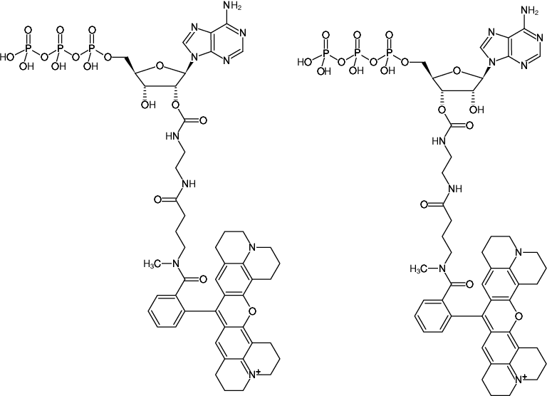 Structural formula of EDA-ATP-ATTO-Rho101 (2'/3'-O-(2-Aminoethyl-carbamoyl)-Adenosine-5'-triphosphate, labeled with ATTO Rho101, Triethylammonium salt)