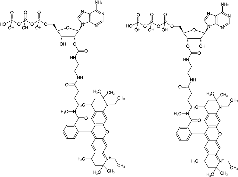 Structural formula of EDA-ATP-ATTO-Rho12 (2'/3'-O-(2-Aminoethyl-carbamoyl)-Adenosine-5'-triphosphate, labeled with ATTO Rho12, Triethylammonium salt)