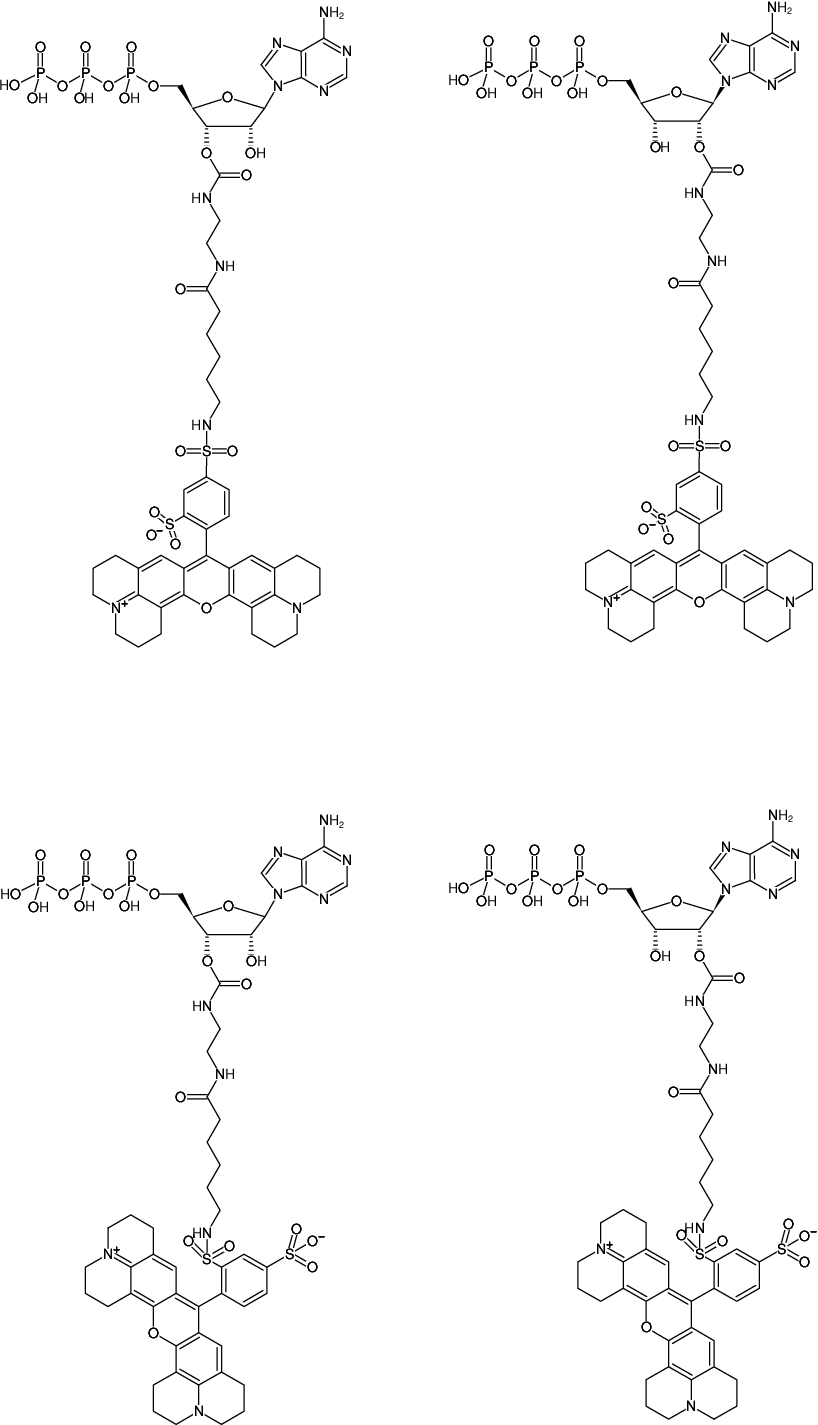 Structural formula of EDA-ATP-Texas Red (2'/3'-O-(2-Aminoethyl-carbamoyl)-Adenosine-5'-triphosphate, labeled with Texas Red, Triethylammonium salt)