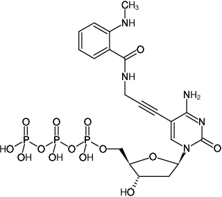 Structural formula of 5-Propargylamino-dCTP-MANT (5-Propargylamino-2'-deoxycytidine-5'-triphosphate, labeled with MANT, Triethylammonium salt)