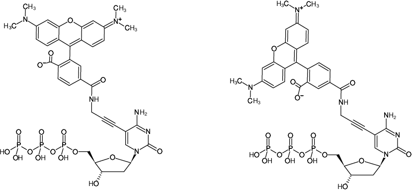 Structural formula of 5-Propargylamino-dCTP-5/6-TAMRA (5-Propargylamino-2'-deoxycytidine-5'-triphosphate, labeled with 5/6-TAMRA, Triethylammonium salt)