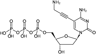 Structural formula of 5-Propargylamino-dCTP - Solution (5-Propargylamino-2'-deoxycytidine-5'-triphosphate, Sodium salt)