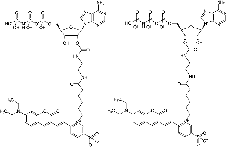 Structural formula of EDA-AppNHp (EDA-AMPPNP)-DY-480XL (2'/3'-O-(2-Aminoethyl-carbamoyl)-Adenosine-5'-[(β,γ)-imido] triphosphate, labeled with DY 480XL, Triethylammonium salt)