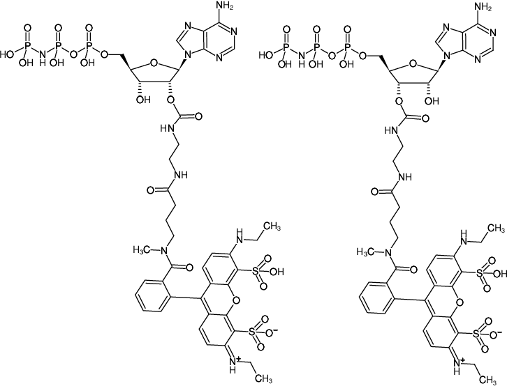 Structural formula of EDA-AppNHp (EDA-AMPPNP)-ATTO-532 (2'/3'-O-(2-Aminoethyl-carbamoyl)-Adenosine-5'-[(β,γ)-imido] triphosphate, labeled with ATTO 532, Triethylammonium salt)