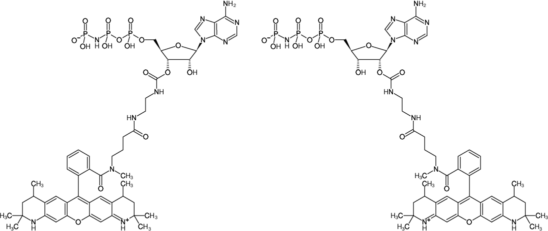 Structural formula of EDA-AppNHp (EDA-AMPPNP)-ATTO-550 (2'/3'-O-(2-Aminoethyl-carbamoyl)-Adenosine-5'-[(β,γ)-imido] triphosphate, labeled with ATTO 550, Triethylammonium salt)