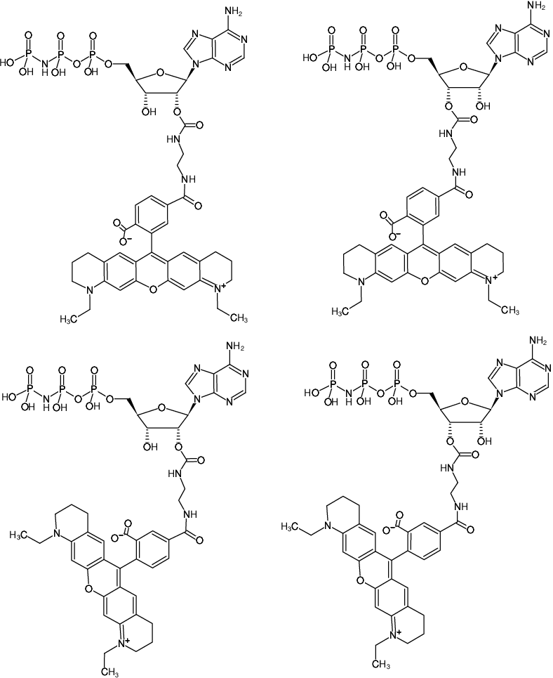 Structural formula of EDA-AppNHp (EDA-AMPPNP)-ATTO-565 (2'/3'-O-(2-Aminoethyl-carbamoyl)-Adenosine-5'-[(β,γ)-imido] triphosphate, labeled with ATTO 565, Triethylammonium salt)