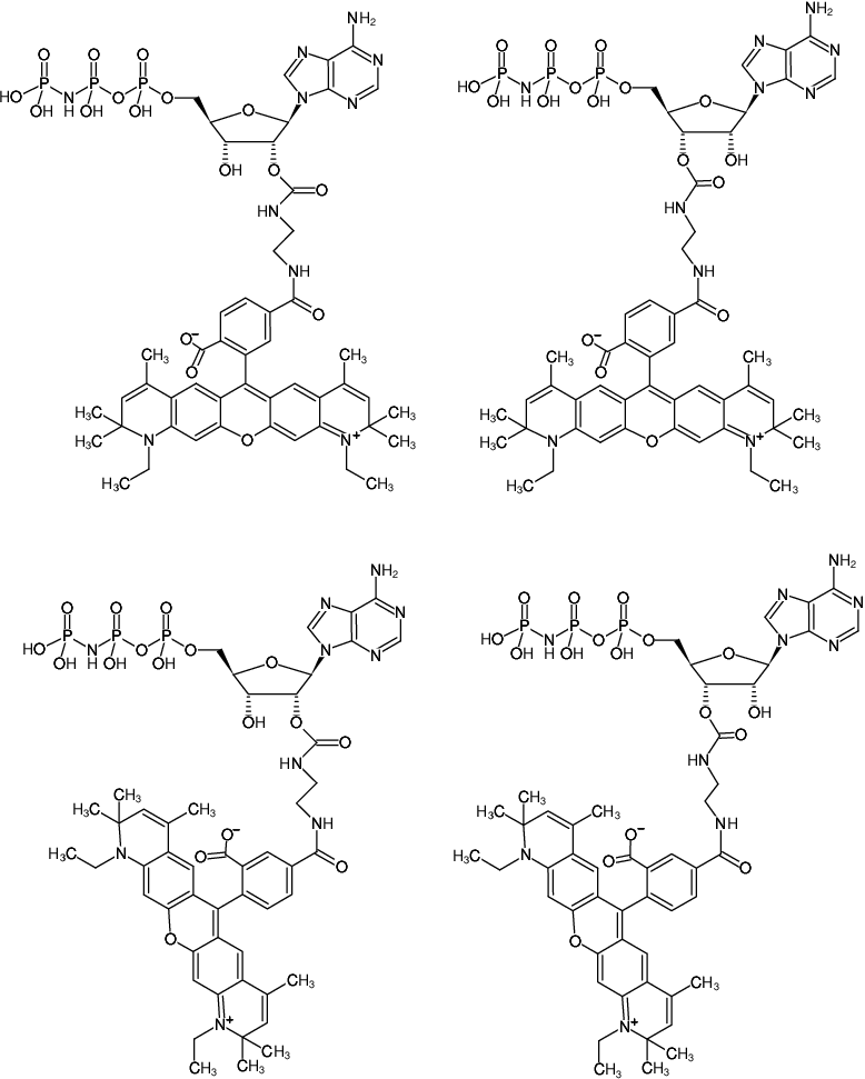 Structural formula of EDA-AppNHp (EDA-AMPPNP)-ATTO-590 (2'/3'-O-(2-Aminoethyl-carbamoyl)-Adenosine-5'-[(β,γ)-imido] triphosphate, labeled with ATTO 590, Triethylammonium salt)