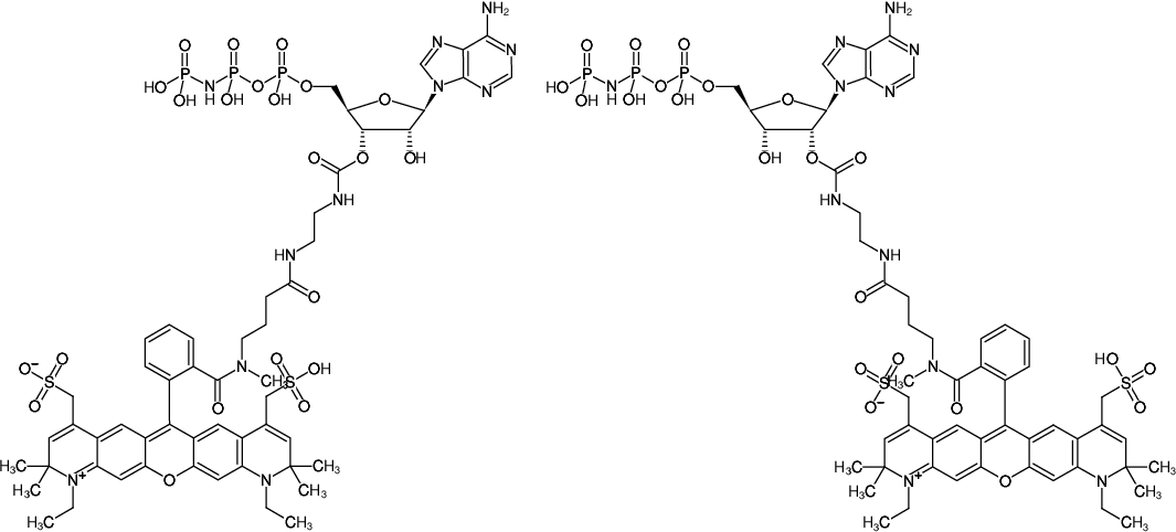 Structural formula of EDA-AppNHp (EDA-AMPPNP)-ATTO-594 (2'/3'-O-(2-Aminoethyl-carbamoyl)-Adenosine-5'-[(β,γ)-imido] triphosphate, labeled with ATTO 594, Triethylammonium salt)