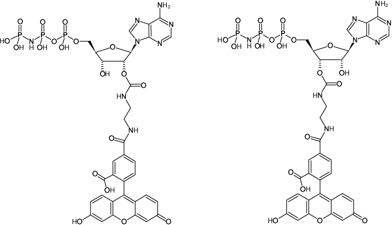 Structural formula of EDA-AppNHp (EDA-AMPPNP)-5-FAM (2'/3'-O-(2-Aminoethyl-carbamoyl)-Adenosine-5'-[(β,γ)-imido] triphosphate, labeled with 5 FAM, Triethylammonium salt)