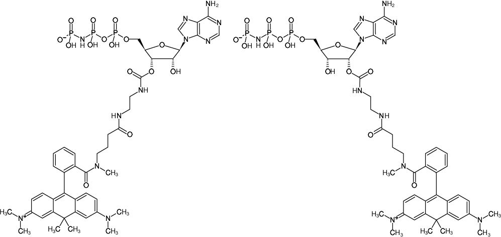 Structural formula of EDA-AppNHp (EDA-AMPPNP)-ATTO-620 (2'/3'-O-(2-Aminoethyl-carbamoyl)-adenosine-5'-[(β,γ)-imido] triphosphate, labeled with ATTO 620, Triethylammonium salt)