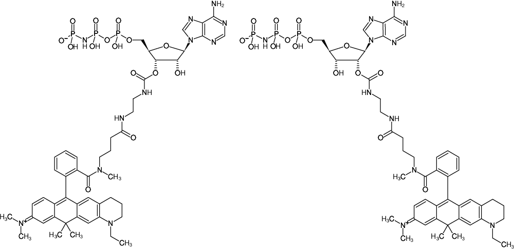 Structural formula of EDA-AppNHp (EDA-AMPPNP)-ATTO-633 (2'/3'-O-(2-Aminoethyl-carbamoyl)-Adenosine-5'-[(β,γ)-imido] triphosphate, labeled with ATTO 633, Triethylammonium salt)