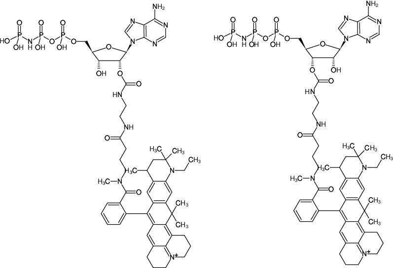 Structural formula of EDA-AppNHp (EDA-AMPPNP)-ATTO-647N (2'/3'-O-(2-Aminoethyl-carbamoyl)-Adenosine-5'-[(β,γ)-imido] triphosphate, labeled with ATTO 647N, Triethylammonium salt)