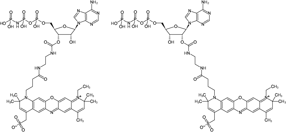 Structural formula of EDA-AppNHp (EDA-AMPPNP)-ATTO-700 (2'/3'-O-(2-Aminoethyl-carbamoyl)-Adenosine-5'-[(β,γ)-imido] triphosphate, labeled with ATTO 700, Triethylammonium salt)