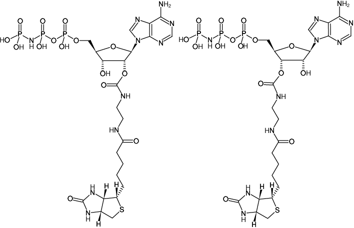 Structural formula of EDA-AppNHp (EDA-AMPPNP)-Biotin (2'/3'-O-(2-Aminoethyl-carbamoyl)-Adenosine-5'-[(β,γ)-imido] triphosphate-Biotin, Triethylammonium salt)