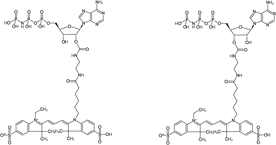 Structural formula of EDA-AppNHp (EDA-AMPPNP)-Cy3 (2'/3'-O-(2-Aminoethyl-carbamoyl)-Adenosine-5'-[(β,γ)-imido] triphosphate, labeled with Cy3, Triethylammonium salt)