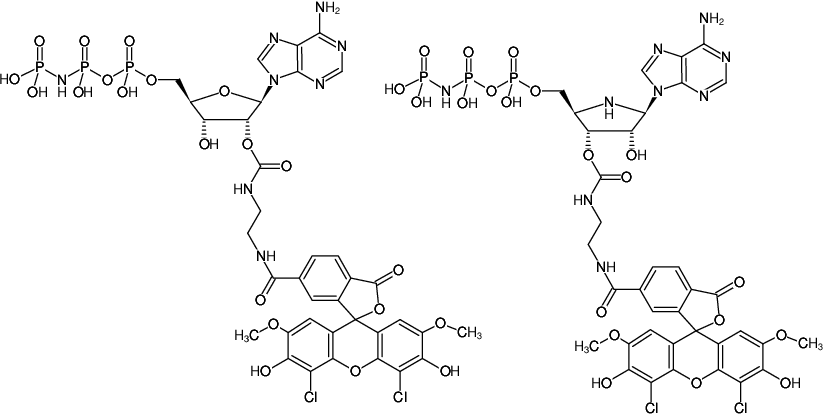 Structural formula of EDA-AppNHp (EDA-AMPPNP)-6-JOE (2'/3'-O-(2-Aminoethyl-carbamoyl)-Adenosine-5'-[(β,γ)-imido] triphosphate, labeled with 6-JOE, Triethylammonium salt)