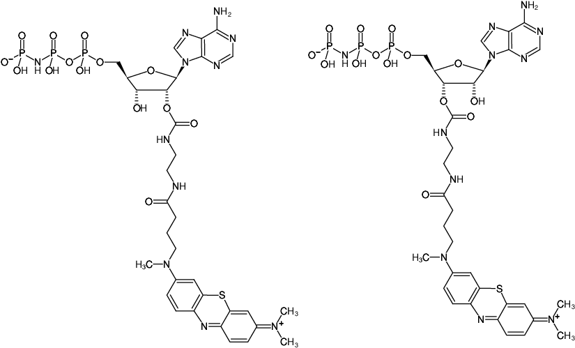 Structural formula of EDA-AppNHp (EDA-AMPPNP)-ATTO-MB2 (2'/3'-O-(2-Aminoethyl-carbamoyl)-Adenosine-5'-[(β,γ)-imido] triphosphate, labeled with ATTO-MB2, Triethylammonium salt)