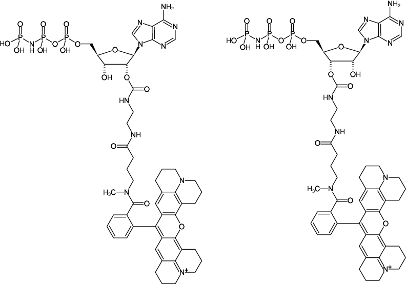 Structural formula of EDA-AppNHp (EDA-AMPPNP)-ATTO-Rho101 (2'/3'-O-(2-Aminoethyl-carbamoyl)-Adenosine-5'-[(β,γ)-imido] triphosphate, labeled with ATTO Rho101, Triethylammonium salt)