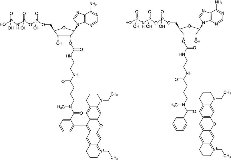 Structural formula of EDA-AppNHp (EDA-AMPPNP)-ATTO-Rho11 (2'/3'-O-(2-Aminoethyl-carbamoyl)-Adenosine-5'-[(β,γ)-imido] triphosphate, labeled with ATTO Rho11, Triethylammonium salt)