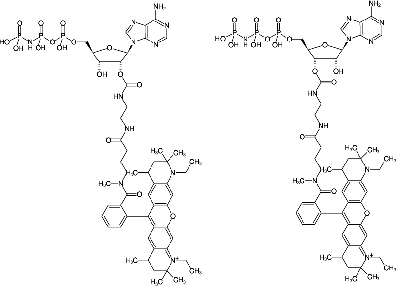 Structural formula of EDA-AppNHp (EDA-AMPPNP)-ATTO-Rho12 (2'/3'-O-(2-Aminoethyl-carbamoyl)-Adenosine-5'-[(β,γ)-imido] triphosphate, labeled with ATTO Rho12, Triethylammonium salt)