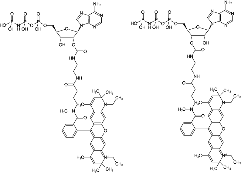 Structural formula of EDA-AppNHp (EDA-AMPPNP)-ATTO-Rho13 (2'/3'-O-(2-Aminoethyl-carbamoyl)-Adenosine-5'-[(β,γ)-imido] triphosphate, labeled with ATTO Rho13, Triethylammonium salt)