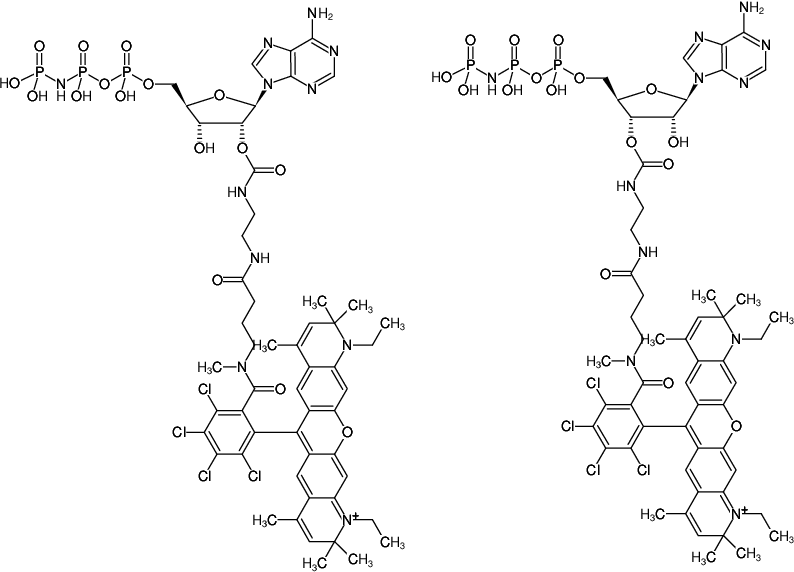 Structural formula of EDA-AppNHp (EDA-AMPPNP)-ATTO-Rho14 (2'/3'-O-(2-Aminoethyl-carbamoyl)-Adenosine-5'-[(β,γ)-imido] triphosphate, labeled with ATTO Rho14, Triethylammonium salt)