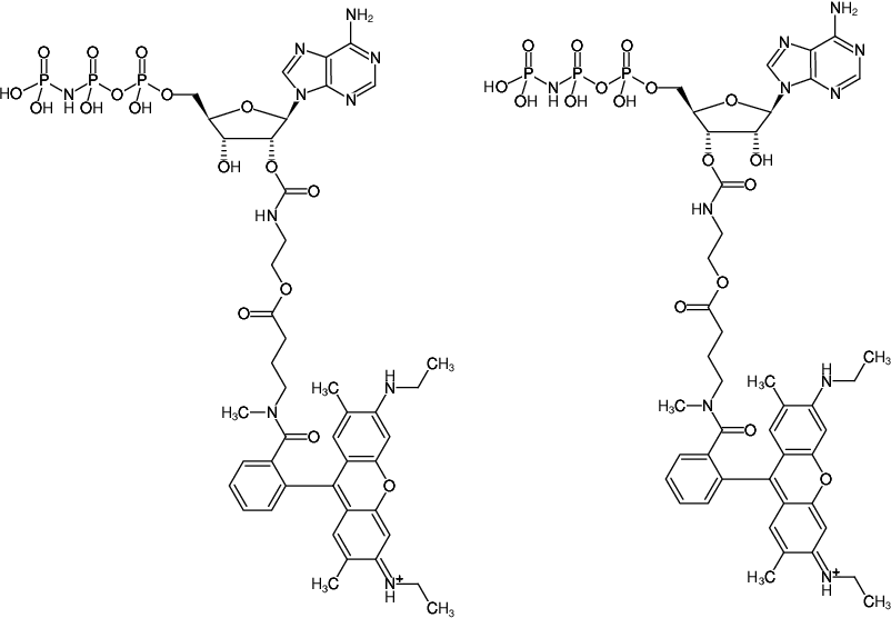 Structural formula of EDA-AppNHp (EDA-AMPPNP)-ATTO-Rho6G (2'/3'-O-(2-Aminoethyl-carbamoyl)-Adenosine-5'-[(β,γ)-imido] triphosphate, labeled with ATTO Rho6G, Triethylammonium salt)