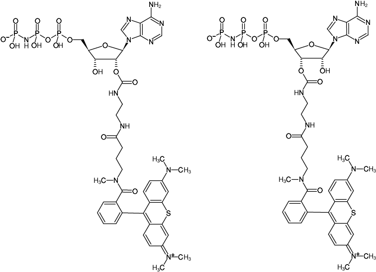 Structural formula of EDA-AppNHp (EDA-AMPPNP)-ATTO-Thio12 (2'/3'-O-(2-Aminoethyl-carbamoyl)-Adenosine-5'-[(β,γ)-imido] triphosphate, labeled with ATTO Thio12, Triethylammonium salt)