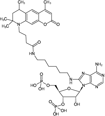 Structural formula of 8-(6-Aminohexyl)-amino-adenosine-3',5'-bisphosphate-ATTO-390 (8-(6-Aminohexyl)-amino-adenosine-3',5'-bisphosphate, labeled with ATTO 390, Triethylammonium salt)