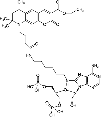 Structural formula of 8-(6-Aminohexyl)-amino-adenosine-3',5'-bisphosphate-ATTO-425 (8-(6-Aminohexyl)-amino-adenosine-3',5'-bisphosphate, labeled with ATTO 425, Triethylammonium salt)