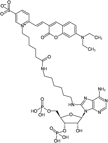 Structural formula of 8-(6-Aminohexyl)-amino-adenosine-3',5'-bisphosphate-DY-480XL (8-(6-Aminohexyl)-amino-adenosine-3',5'-bisphosphate, labeled with DY 480XL, Triethylammonium salt)