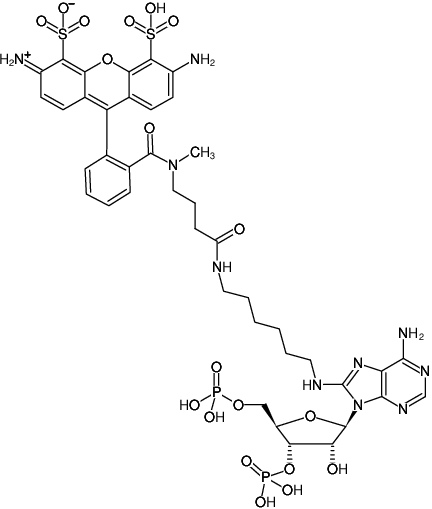 Structural formula of 8-(6-Aminohexyl)-amino-adenosine-3',5'-bisphosphate-ATTO-488 (8-(6-Aminohexyl)-amino-adenosine-3',5'-bisphosphate, labeled with ATTO 488, Triethylammonium salt)