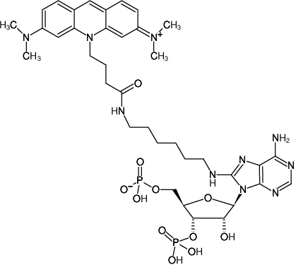 Structural formula of 8-(6-Aminohexyl)-amino-adenosine-3',5'-bisphosphate-ATTO-495 (8-(6-Aminohexyl)-amino-adenosine-3',5'-bisphosphate, labeled with ATTO 495, Triethylammonium salt)