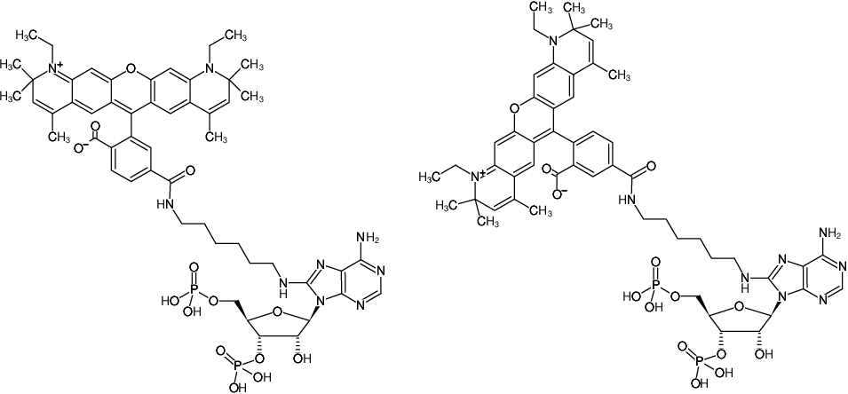 Structural formula of 8-(6-Aminohexyl)-amino-adenosine-3',5'-bisphosphate-ATTO-590 (8-(6-Aminohexyl)-amino-adenosine-3',5'-bisphosphate, labeled with ATTO 590, Triethylammonium salt)