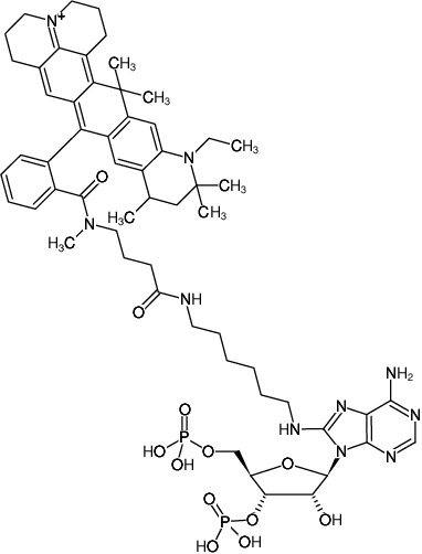 Structural formula of 8-(6-Aminohexyl)-amino-adenosine-3',5'-bisphosphate-ATTO-647N (8-(6-Aminohexyl)-amino-adenosine-3',5'-bisphosphate, labeled with ATTO 647N, Triethylammonium salt)